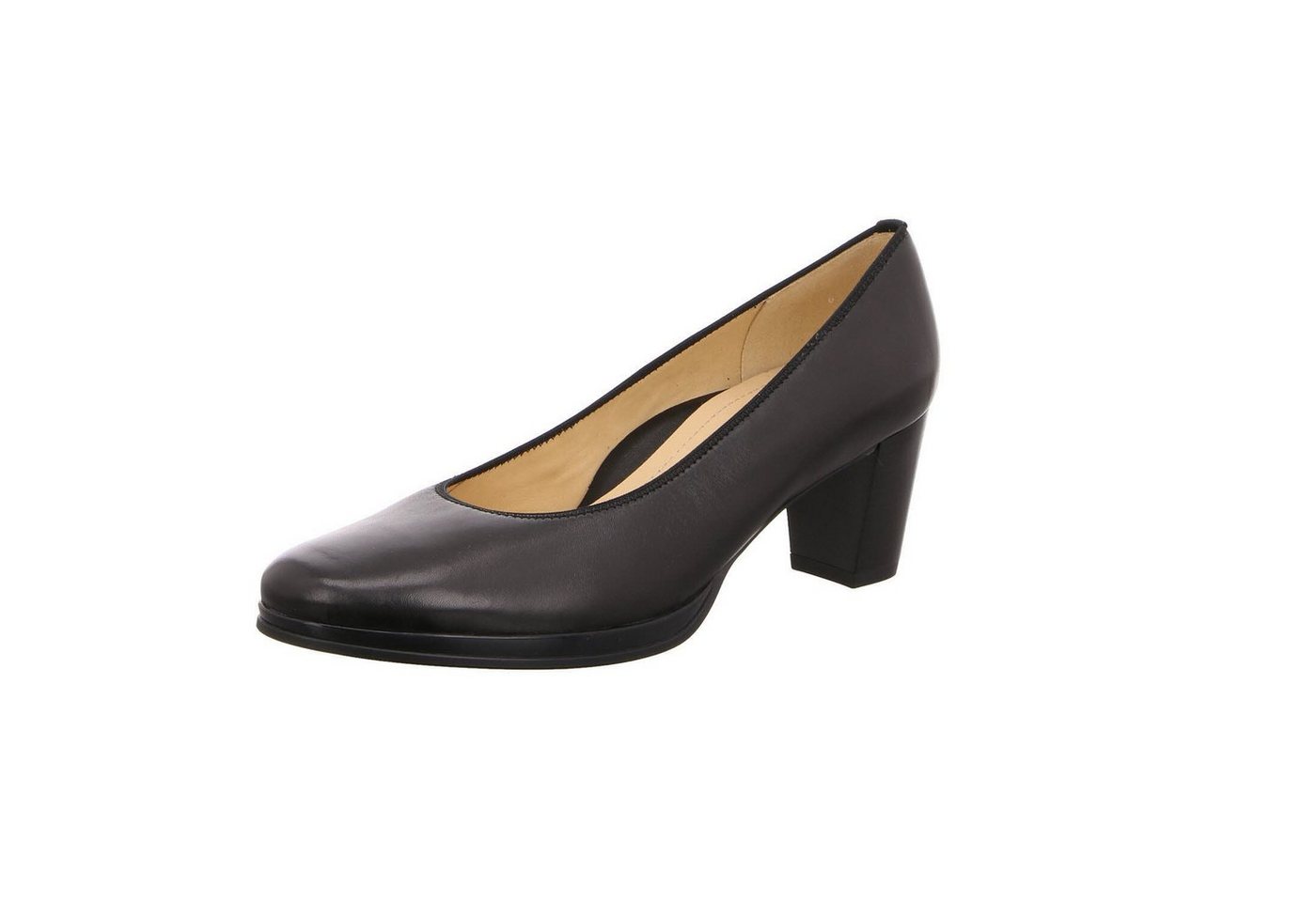 Ara 12-13436-05 Pumps