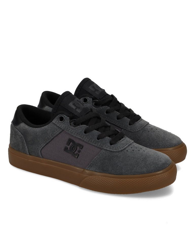 DC Shoes Teknic Sneaker (grau)