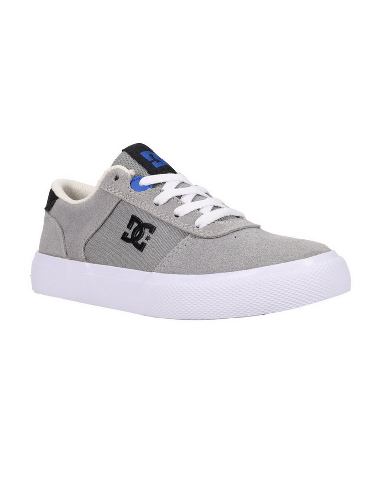 DC Shoes Teknic Sneaker (grau/blau)
