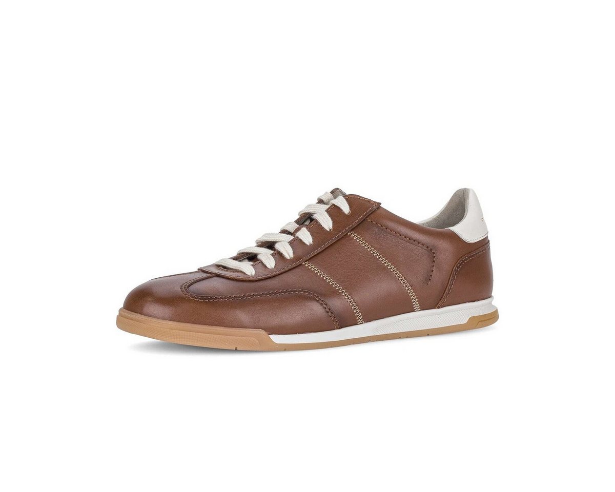 Gabor Sneaker low Sneaker (braun)