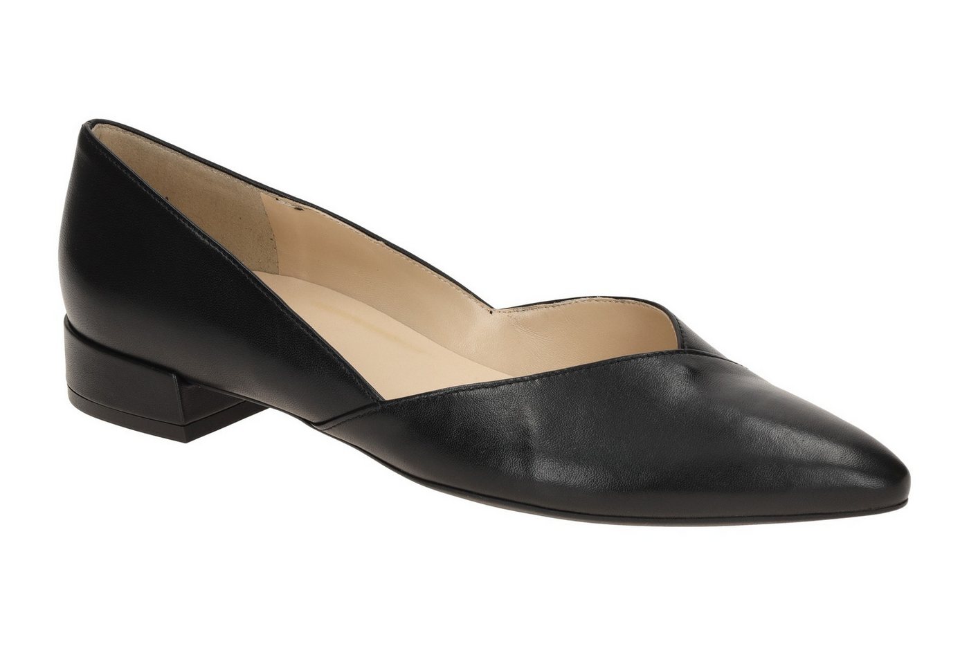 Högl 0-17 2000 0100 Pumps