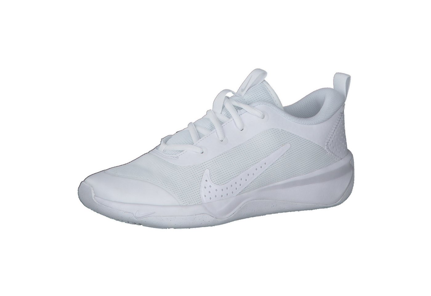 Nike Kinder Hallenschuhe Omni Multi-Court DM9027 Hallenschuh