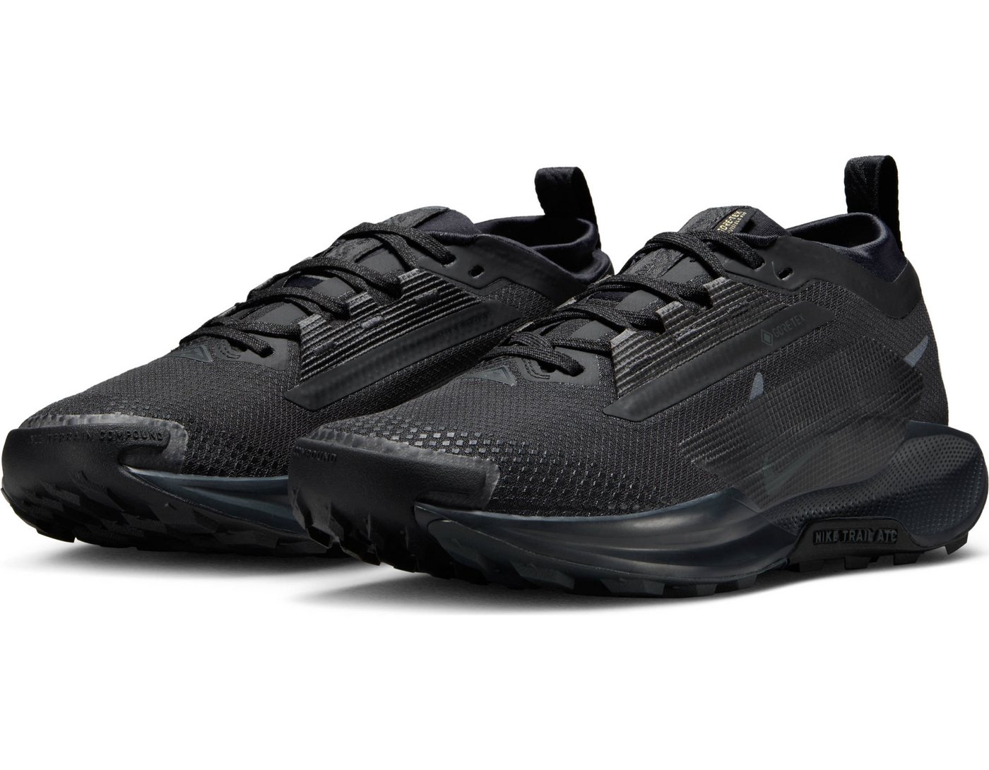 Nike Pegasus Trail 5 GORE-TEX Trailrunningschuh wasserdicht