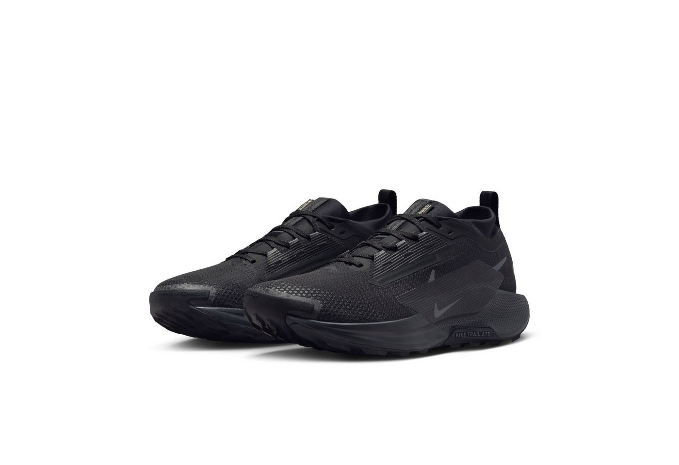 Nike PEGASUS TRAIL 5 GTX Laufschuh wasserdicht