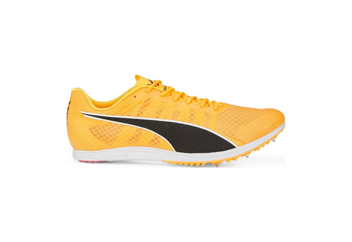 Puma Evospeed Distance 11 - Spikeschuh Laufschuh
