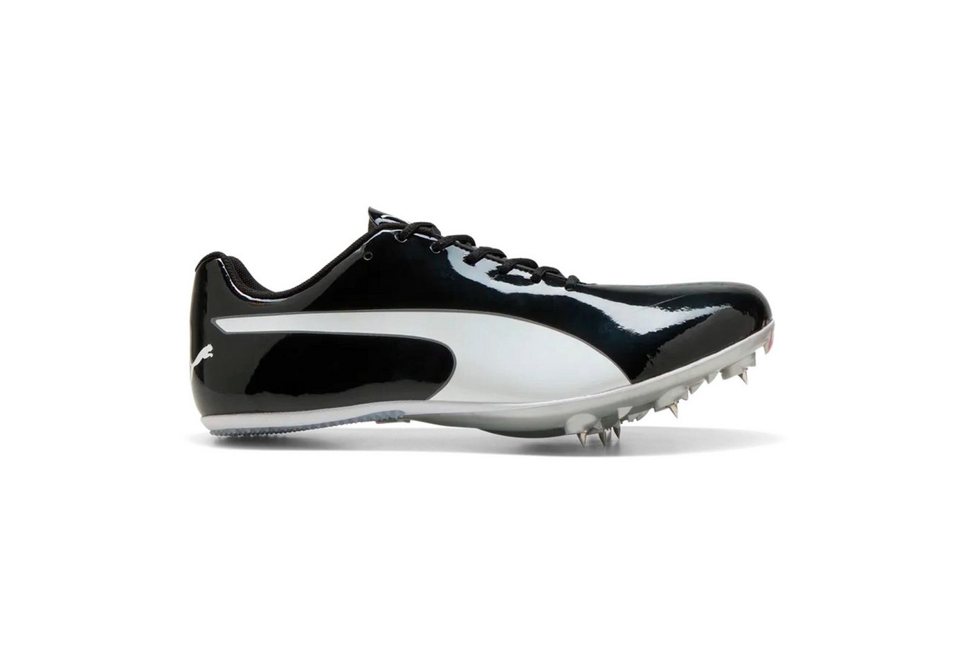 Puma Evospeed Sprint 14.5 - Spikeschuh Laufschuh (schwarz)