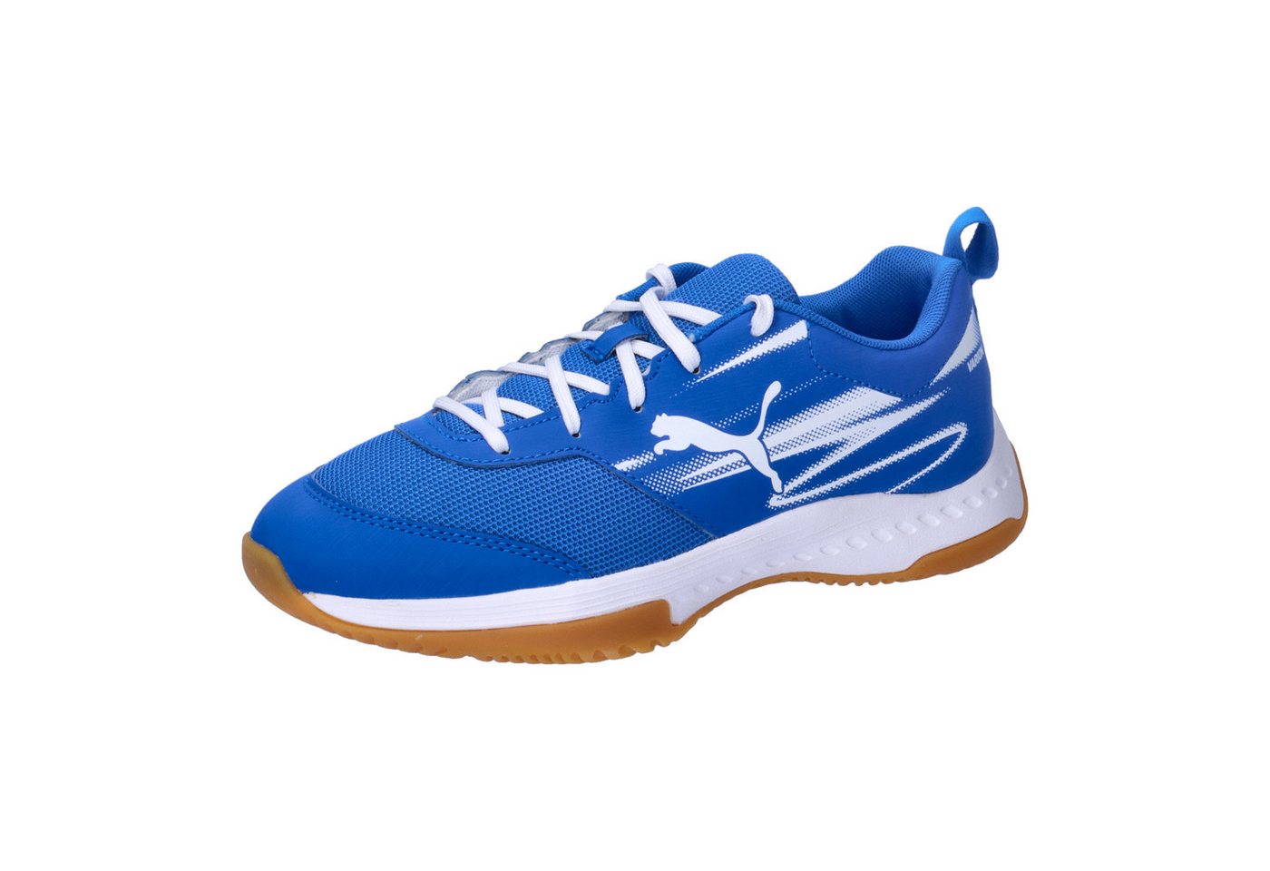 Puma Kinder Hallenschuhe Varion II Jr 108105 Hallenschuh