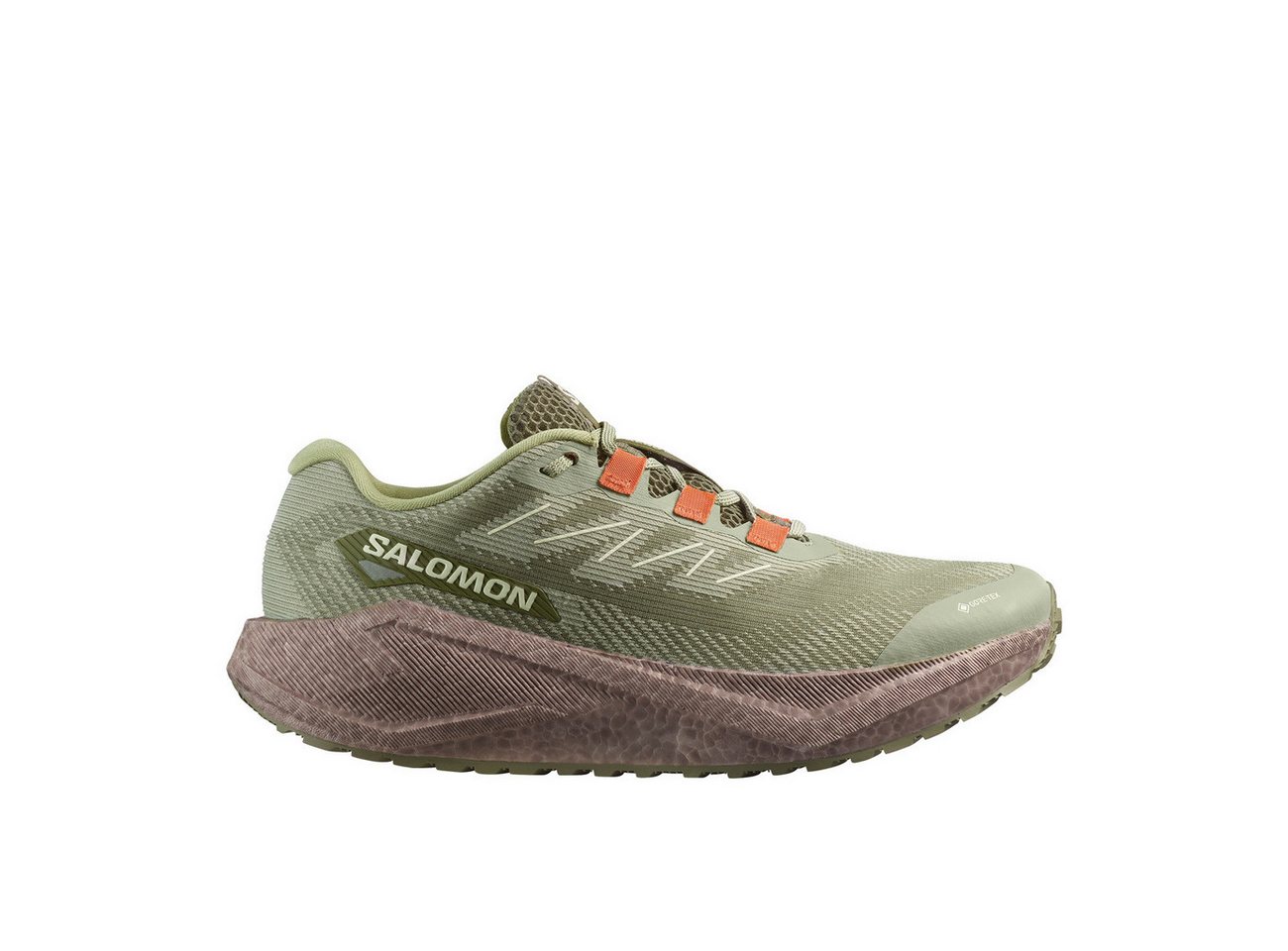 Salomon Aero Blaze 3 GRVL GTX Tea Iron Laufschuh