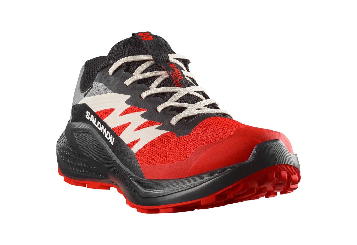 Salomon ALPHAGLIDE GORE-TEX Laufschuh wasserdicht