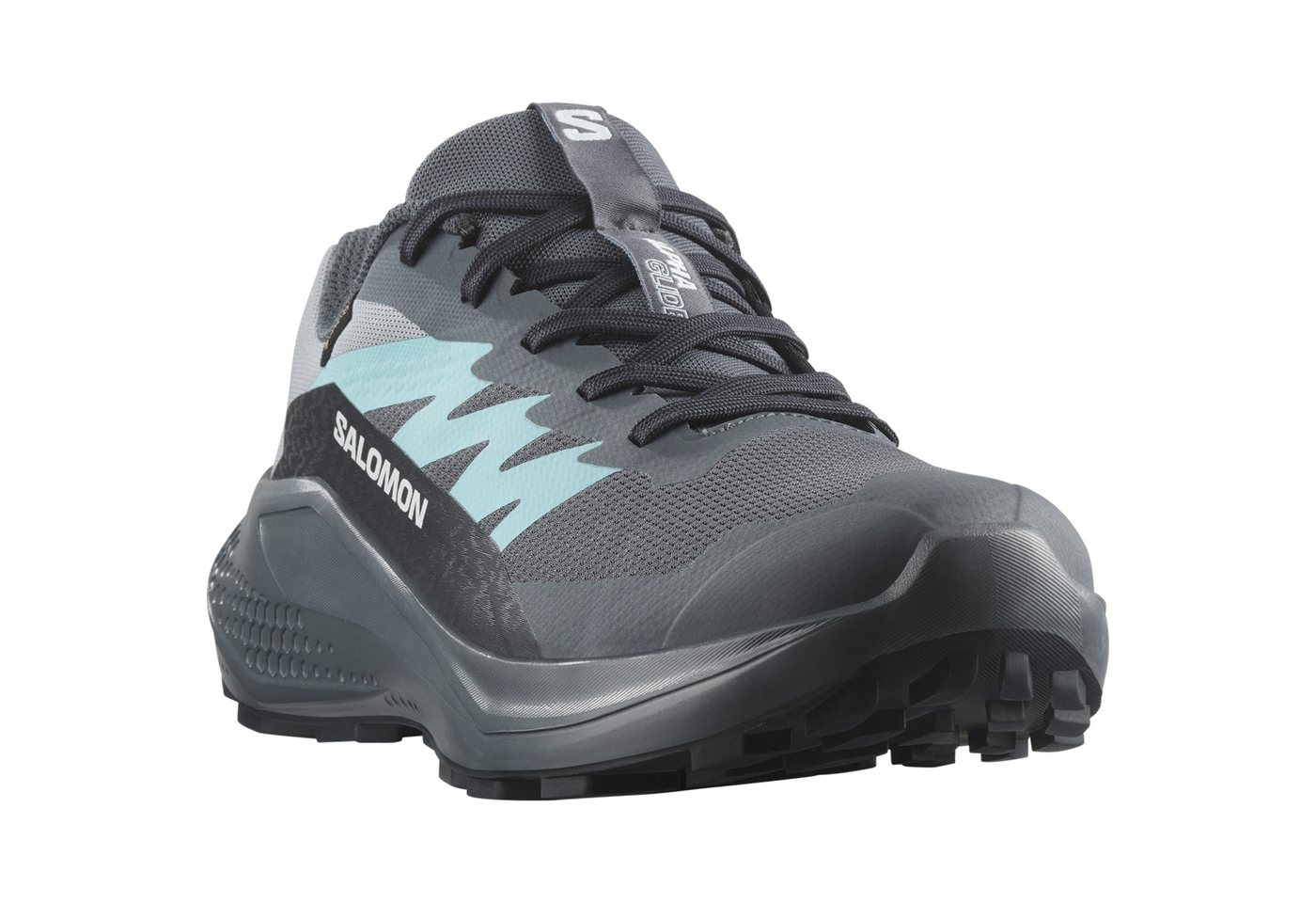 Salomon ALPHAGLIDE GORE-TEX W Trailrunningschuh wasserdicht (grau)