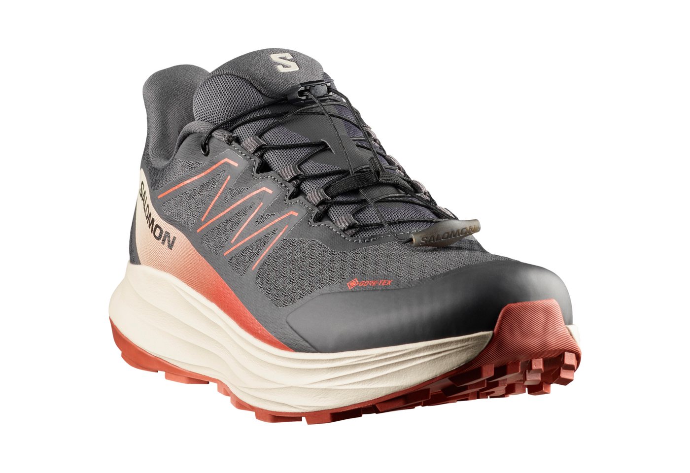 Salomon ALPHARIDE 2 GORE-TEX Trailrunningschuh wasserdicht
