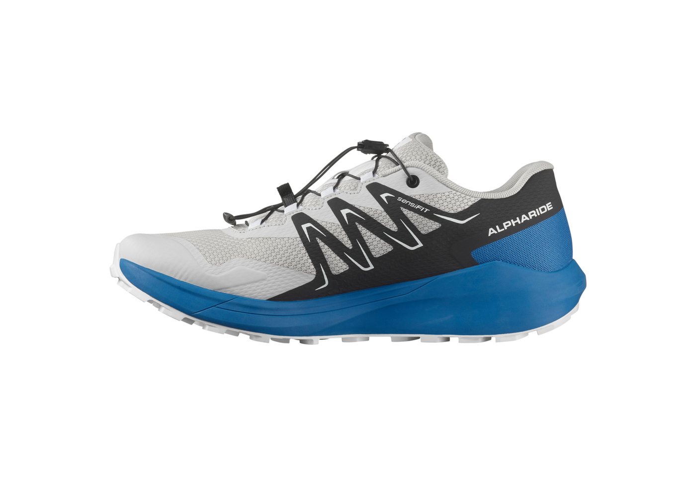 Salomon ALPHARIDE Trailrunningschuh wasserdicht