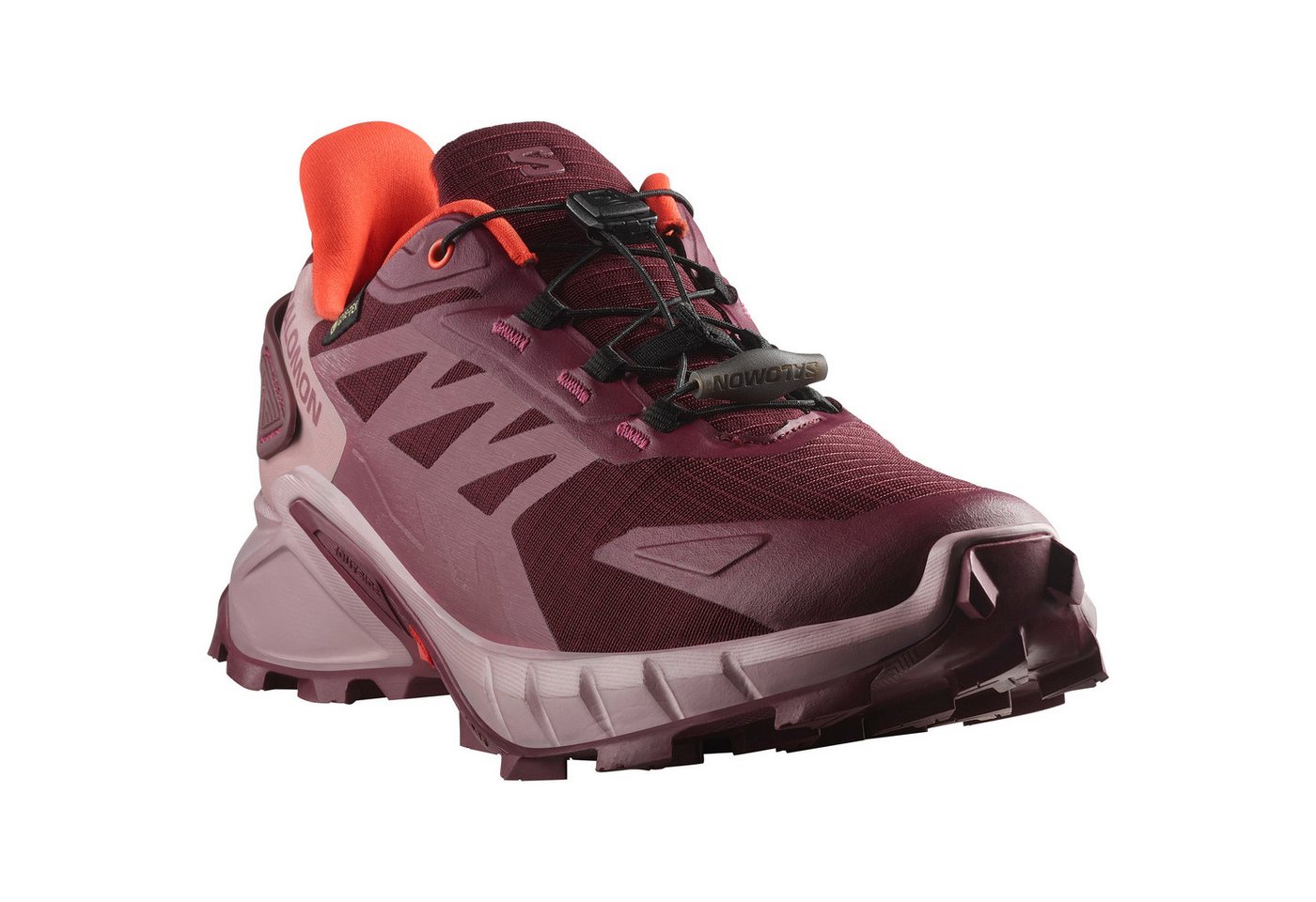 Salomon SUPERCROSS 4 GORE-TEX W Laufschuh wasserdicht