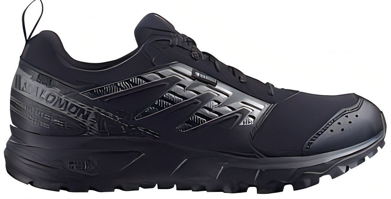 Salomon WANDER GTX Outdoorschuh