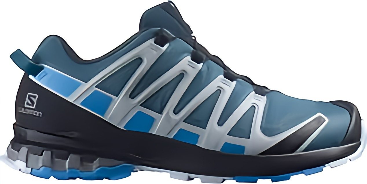 Salomon XA Pro 3D V8 GTX für Herren Outdoorschuh