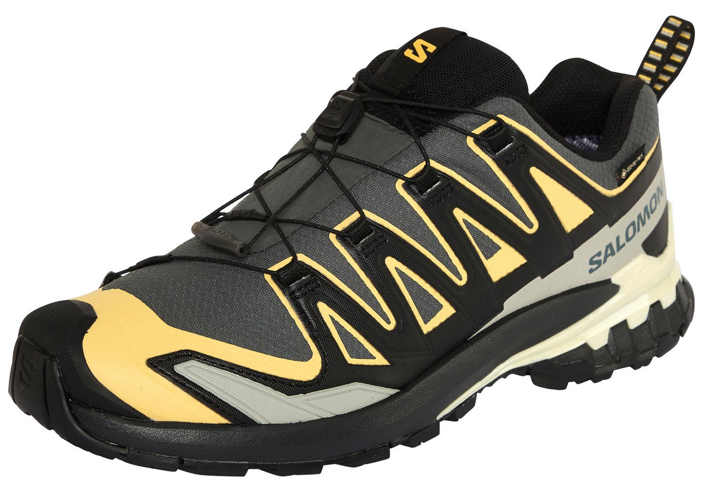 Salomon XA PRO 3D V9 GORE-TEX Laufschuh wasserdicht