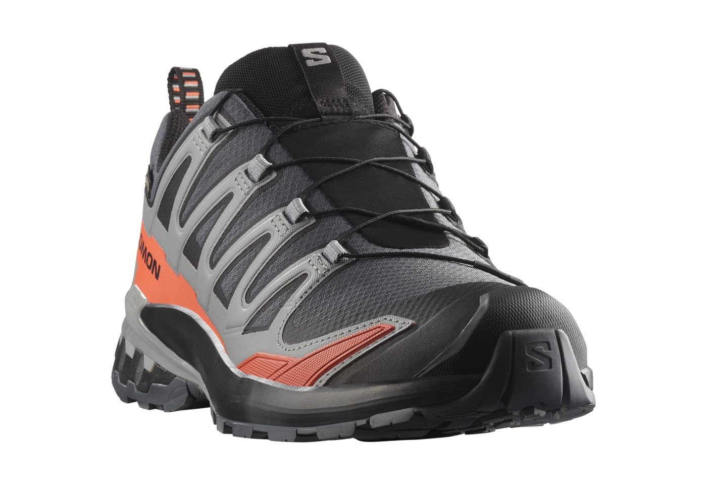 Salomon XA PRO 3D V9 GORE-TEX Trailrunningschuh wasserdicht (grau)