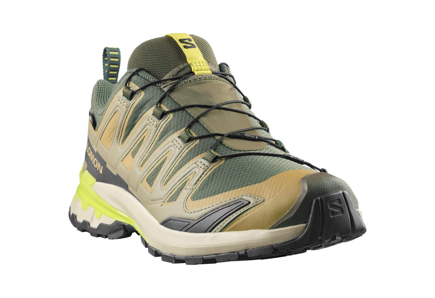 Salomon XA PRO 3D V9 GORE-TEX Trailrunningschuh wasserdicht (grün)