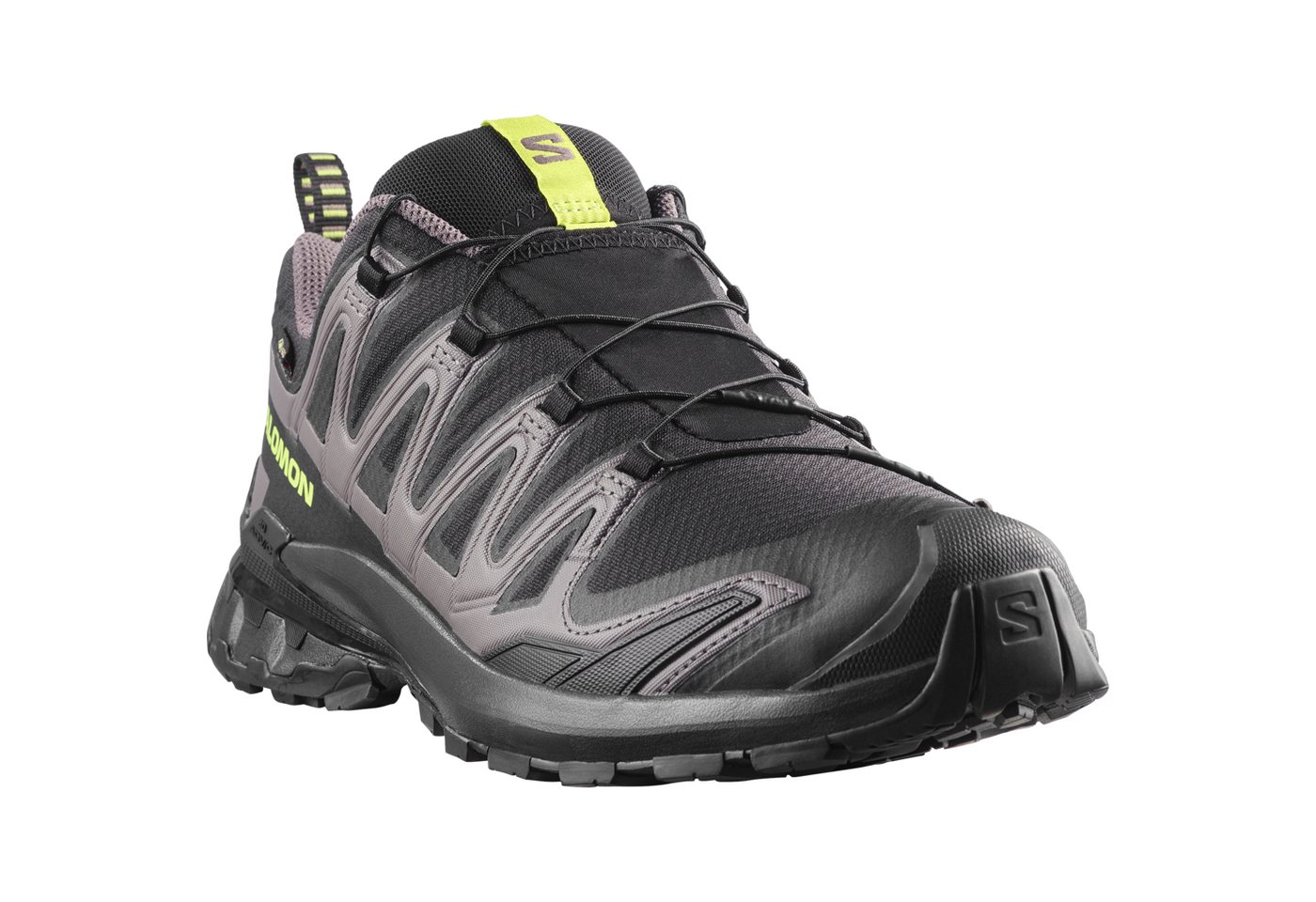 Salomon XA PRO 3D V9 GORE-TEX Trailrunningschuh wasserdicht (schwarz)