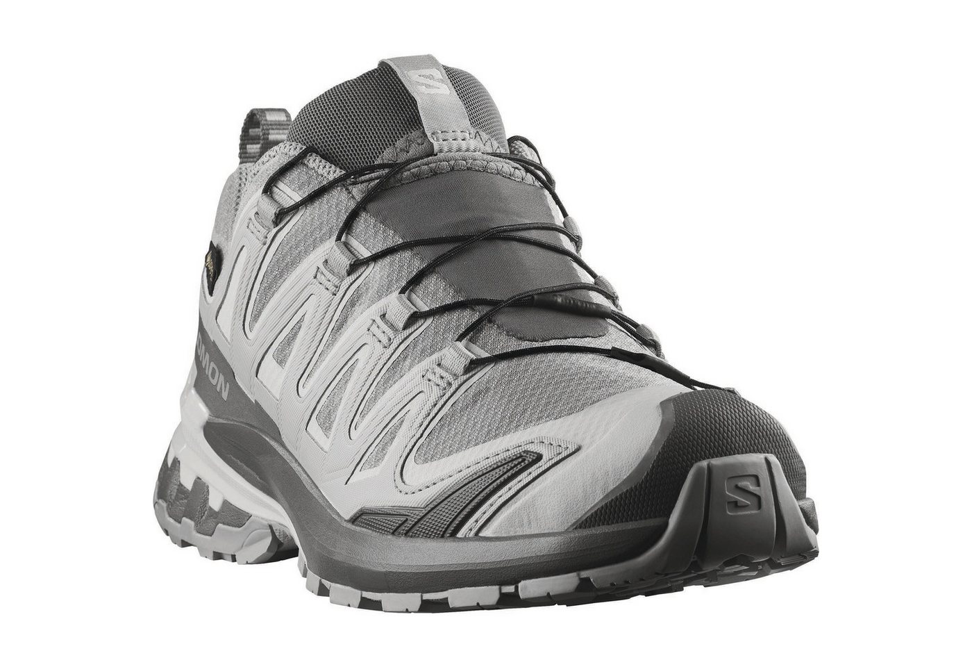 Salomon XA PRO 3D V9 GTX W Trailrunningschuh wasserdicht (grau)