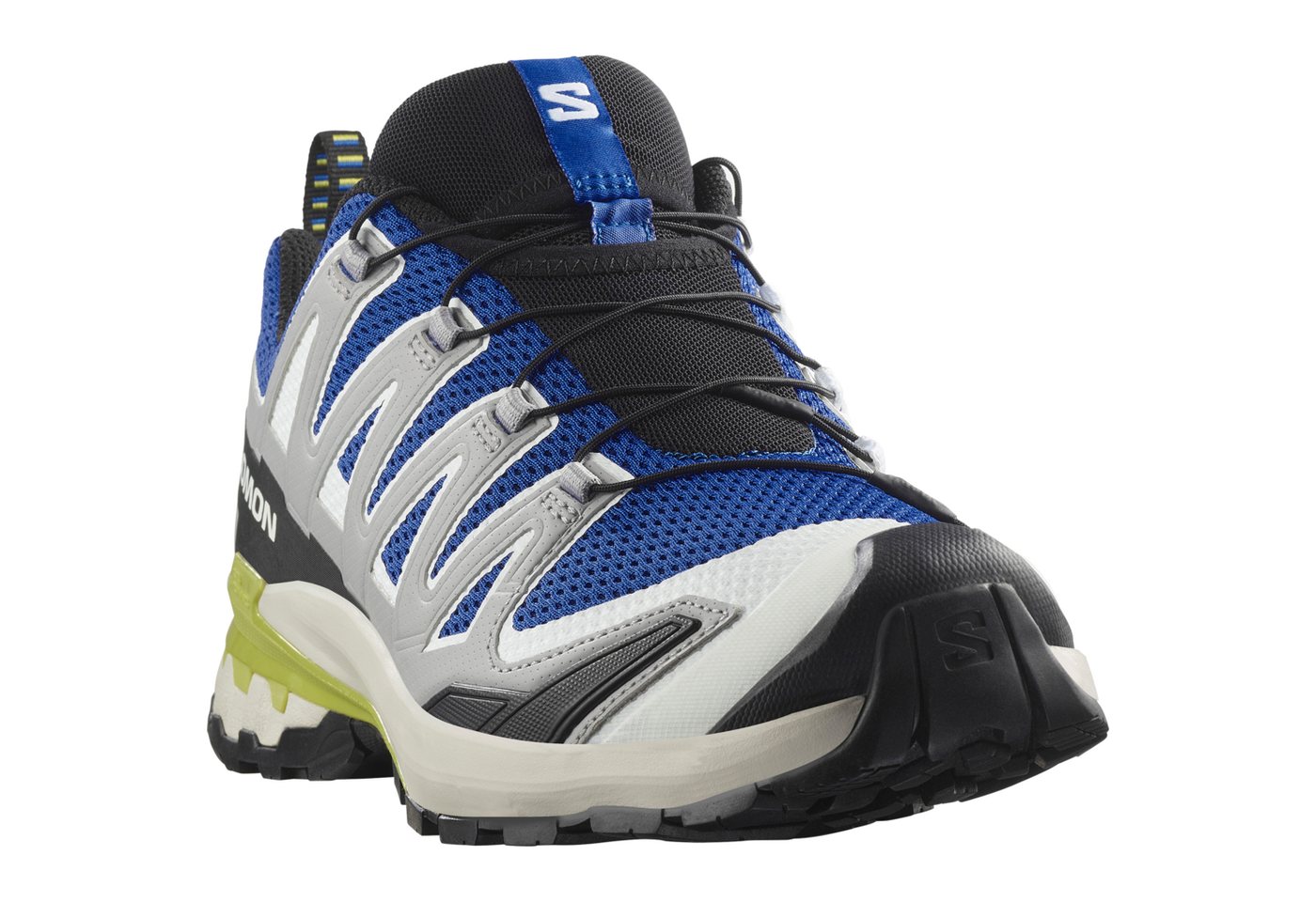 Salomon XA PRO 3D V9 Trailrunningschuh wasserdicht