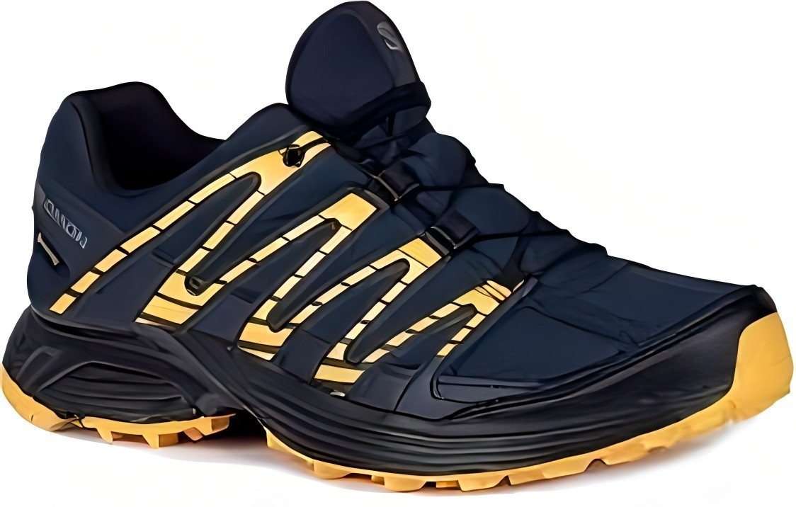 Salomon XT Backbone GTX für Herren Outdoorschuh
