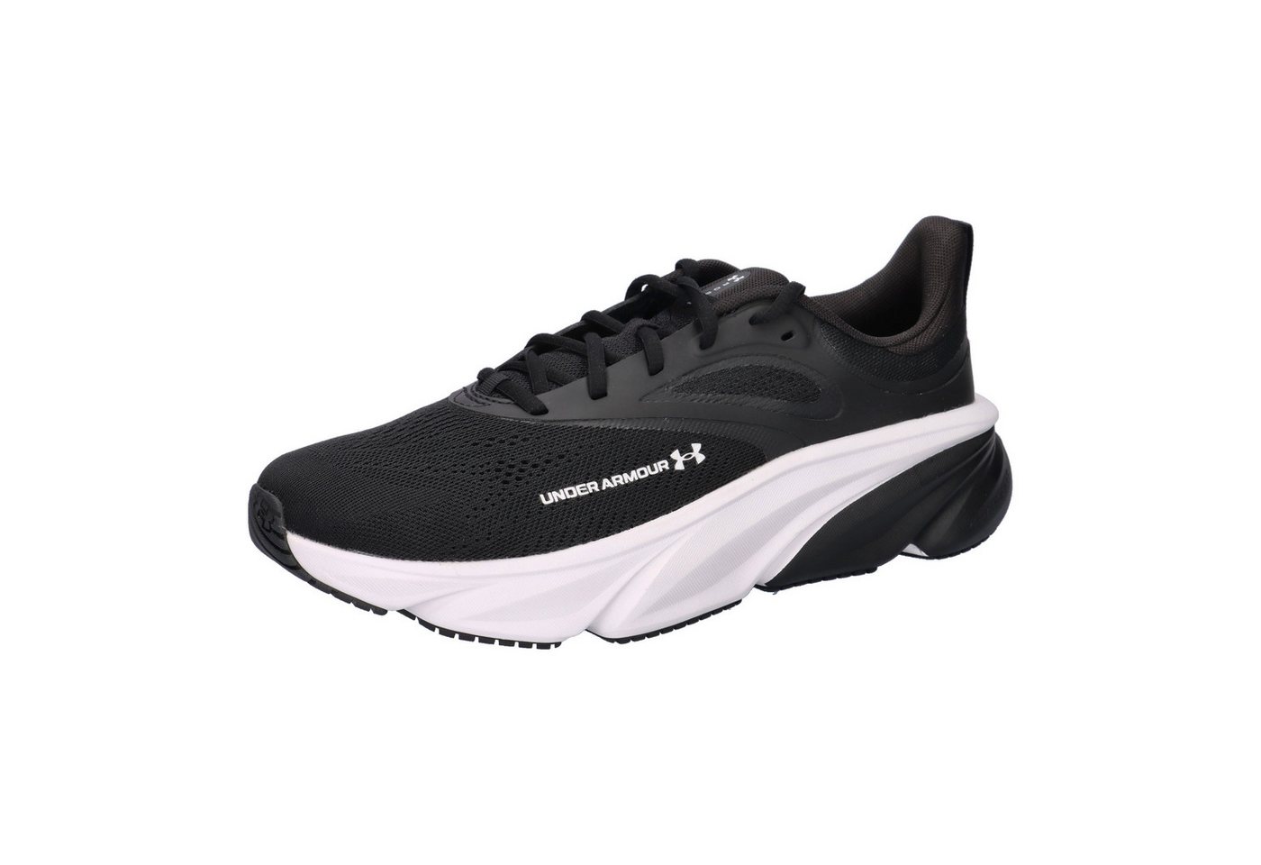 Under Armour® Under Armour Herren Laufschuhe Rogue 6 6006719 Laufschuh (schwarz/weiß)