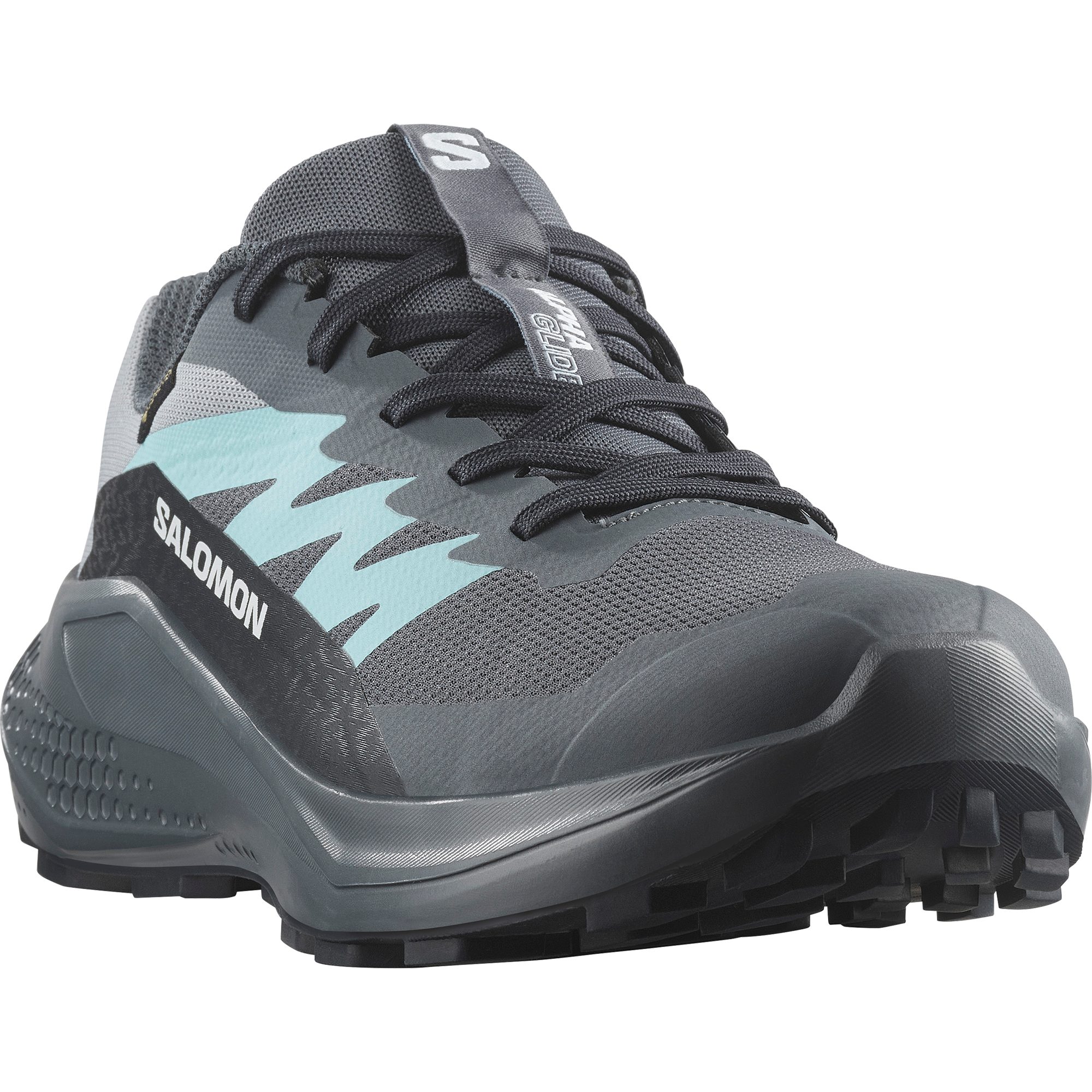 Salomon ALPHAGLIDE GORE-TEX W Trailrunningschuh wasserdicht (grau)