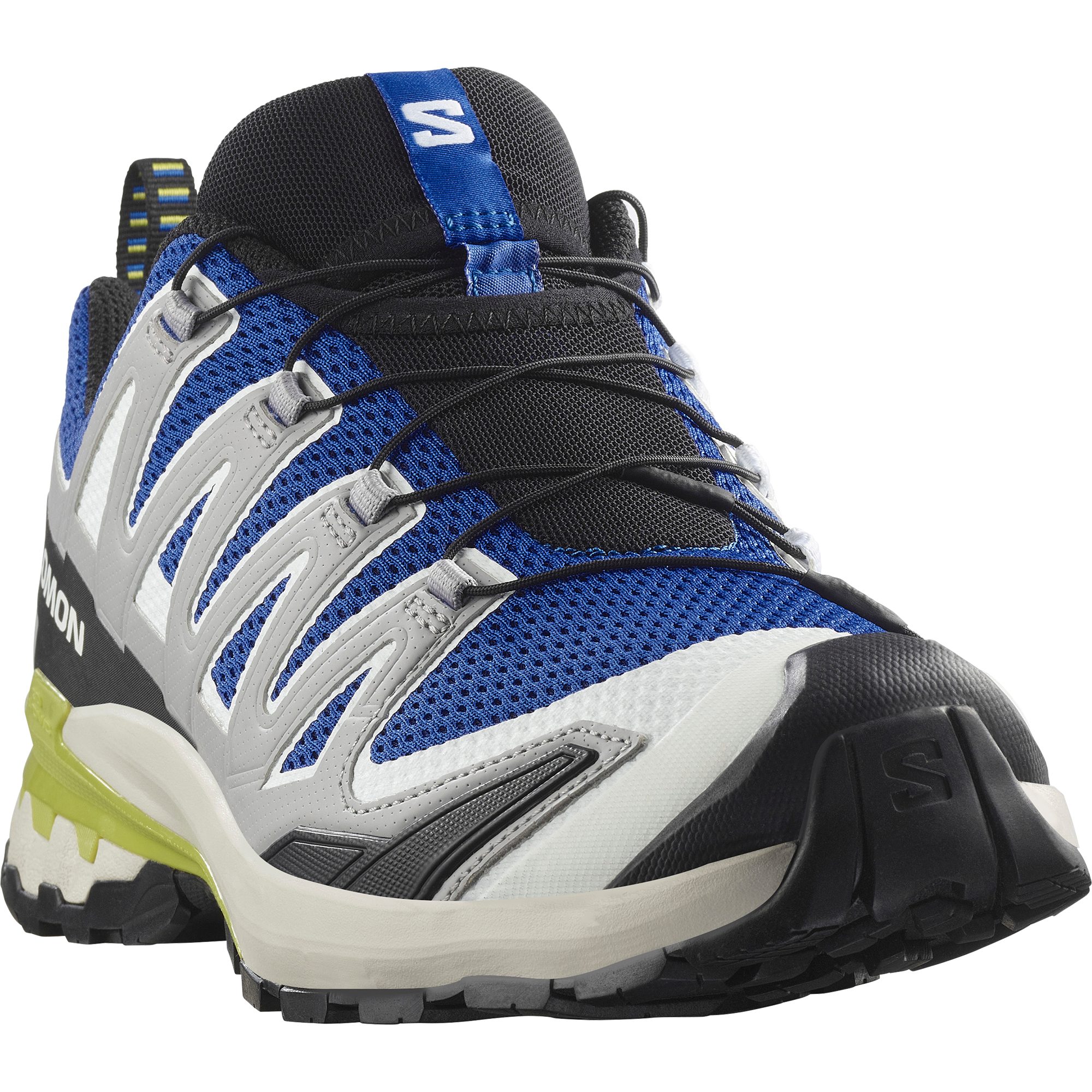 Salomon XA PRO 3D V9 Trailrunningschuh (bunt)